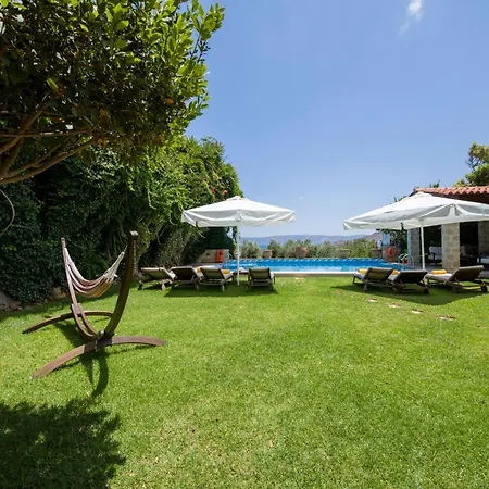 Villa Arhontariki *